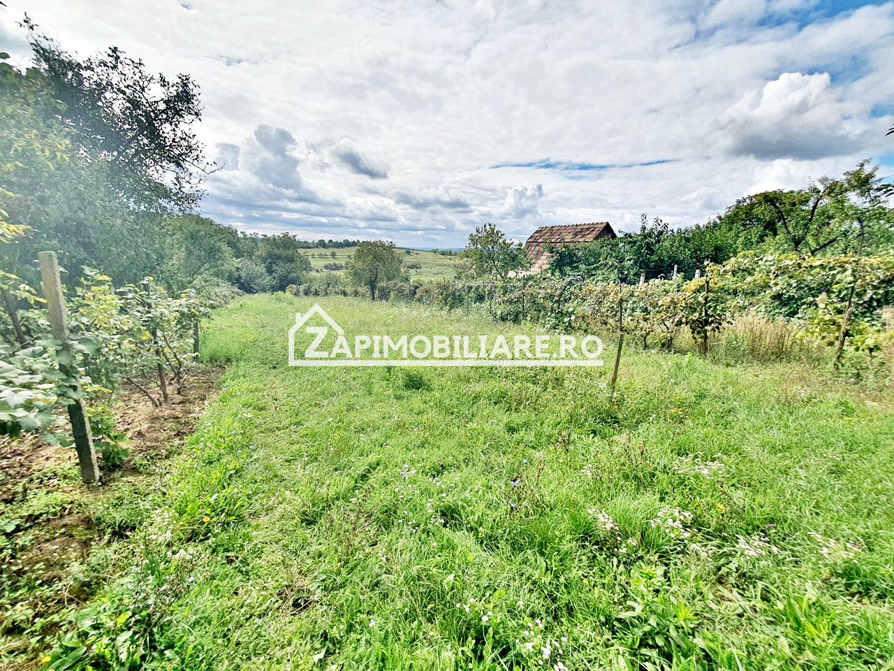 Teren 3.412 mp,zona Belvedere 45 euro mp — fotografia 9