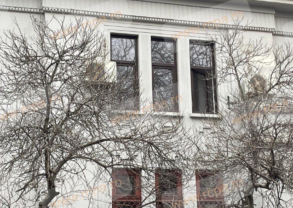 Direct Proprietar: Apartament in vila, Dorobanţi - Capitale — fotografia 4