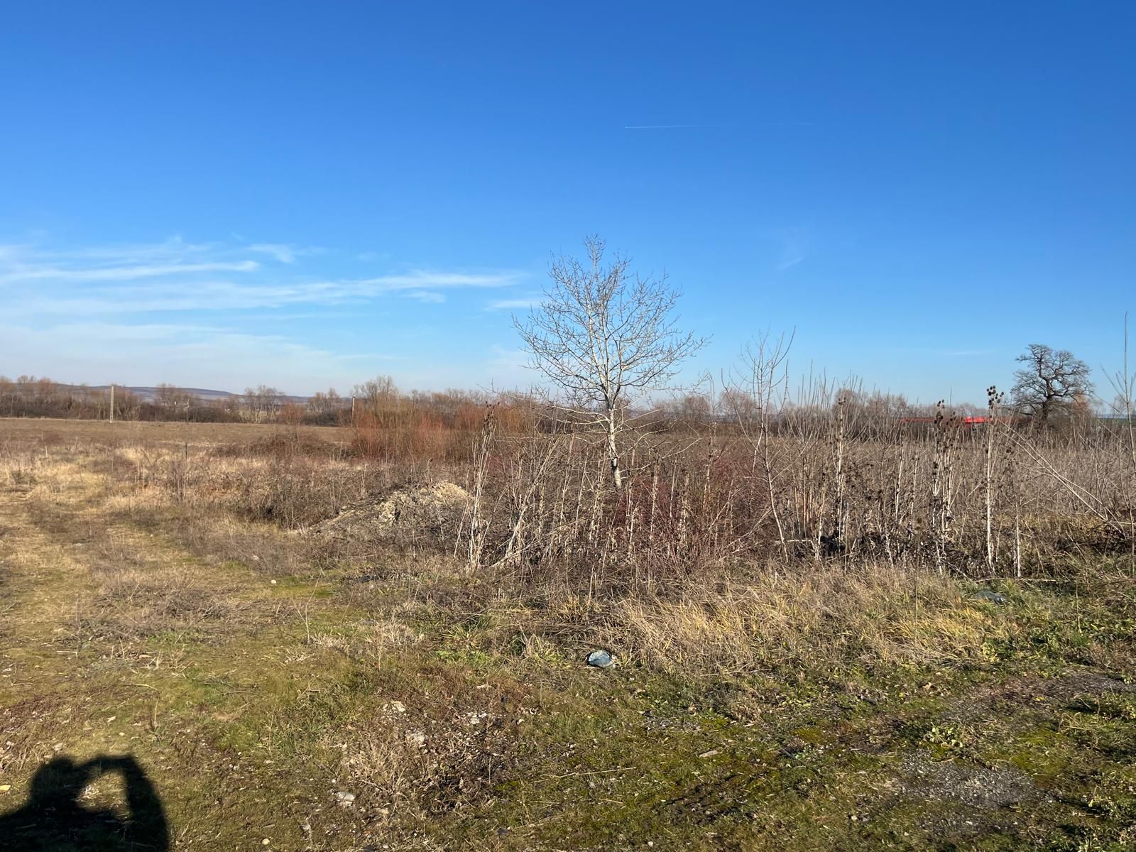 Teren intravilan, Săcădat, 27 921 mp. 9,5 Euro/mp. Comision 0. — fotografia 3