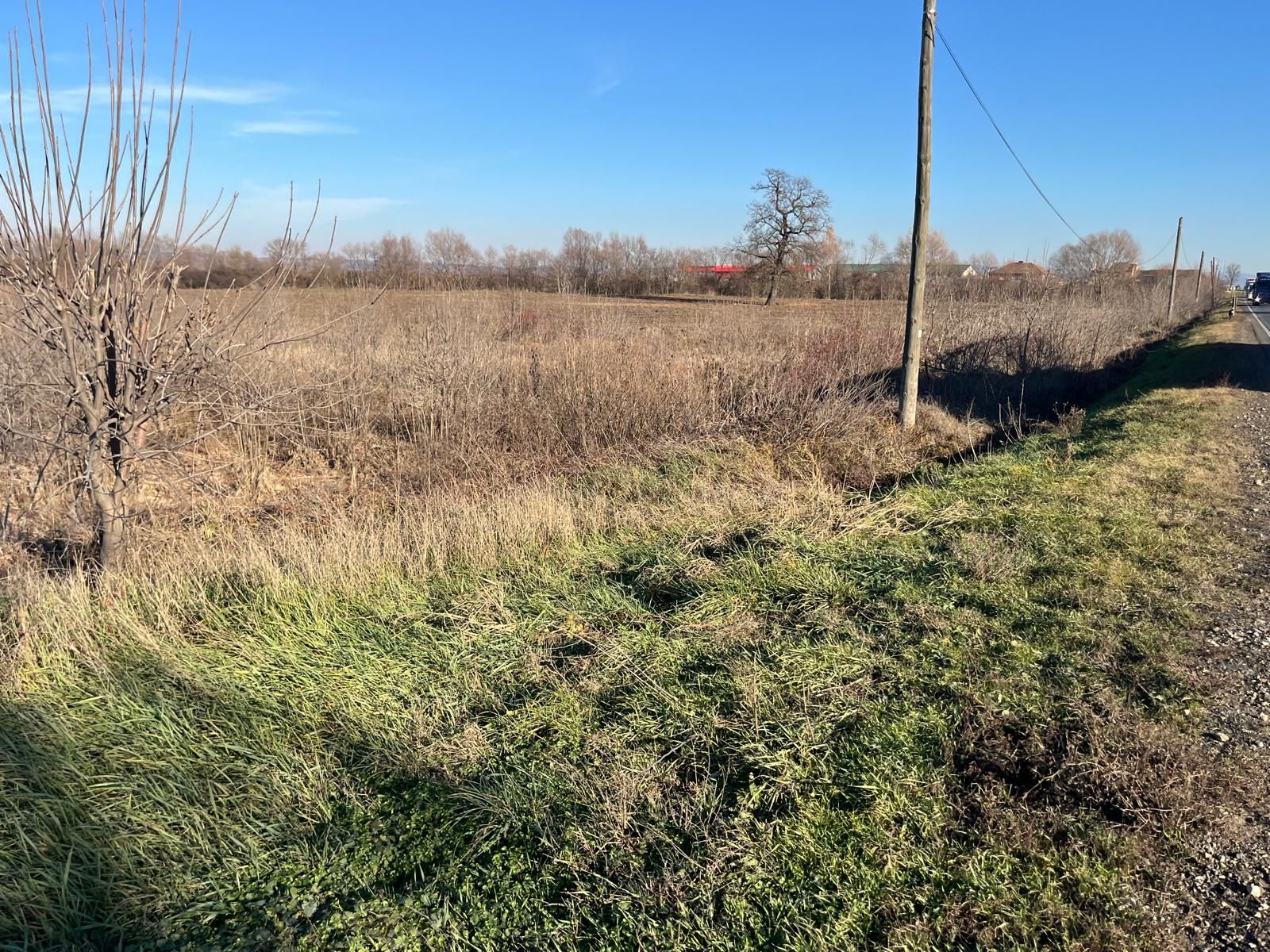 Teren intravilan, Săcădat, 27 921 mp. 9,5 Euro/mp. Comision 0. — fotografia 4