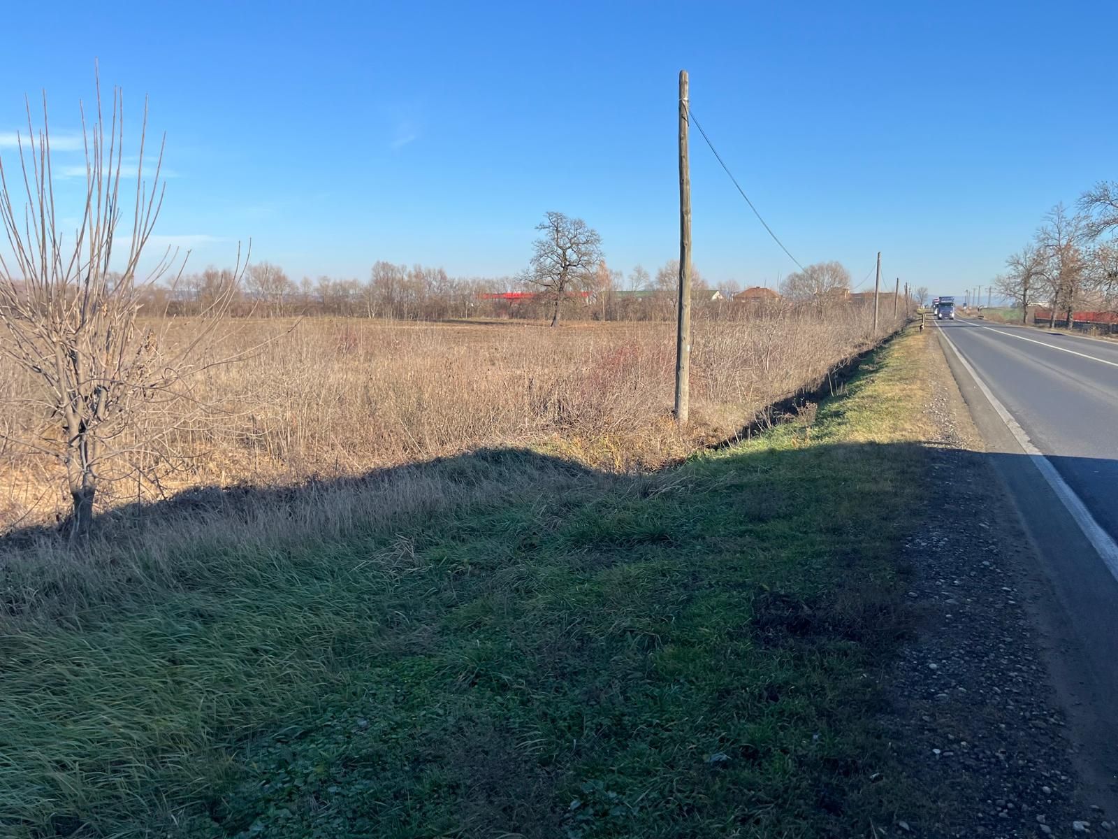 Teren intravilan, Săcădat, 27 921 mp. 9,5 Euro/mp. Comision 0. — fotografia 8
