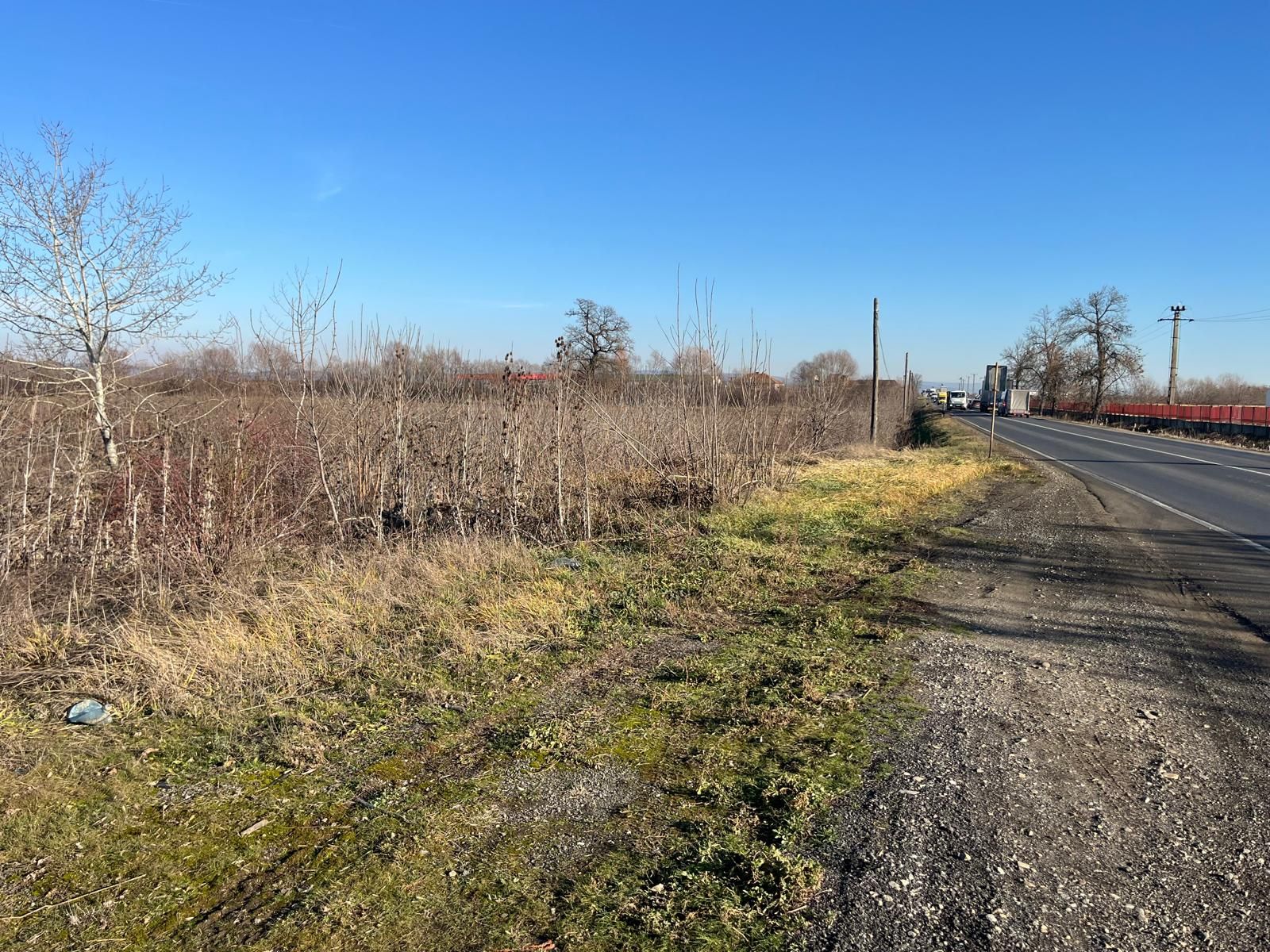 Teren intravilan, Săcădat, 27 921 mp. 9,5 Euro/mp. Comision 0. — fotografia 9