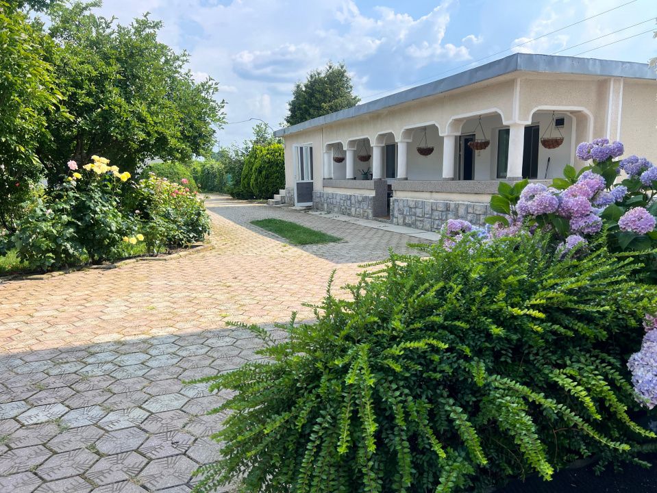 Casa visurilor cu 4000 mp livada roditoare si gradina Darmanesti-Arges