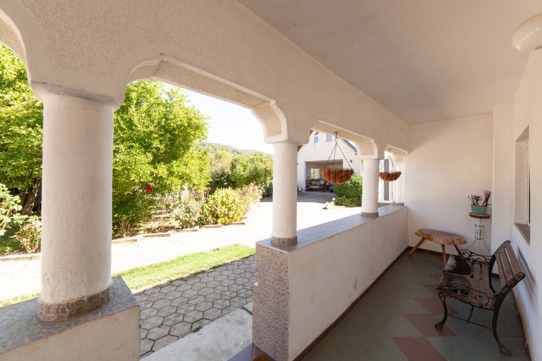 Casa visurilor cu 4000 mp livada roditoare si gradina Darmanesti-Arges — fotografia 11
