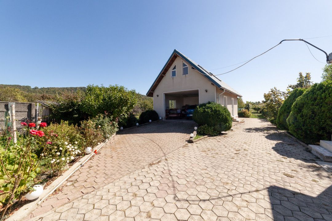 Casa visurilor cu 4000 mp livada roditoare si gradina Darmanesti-Arges — fotografia 16