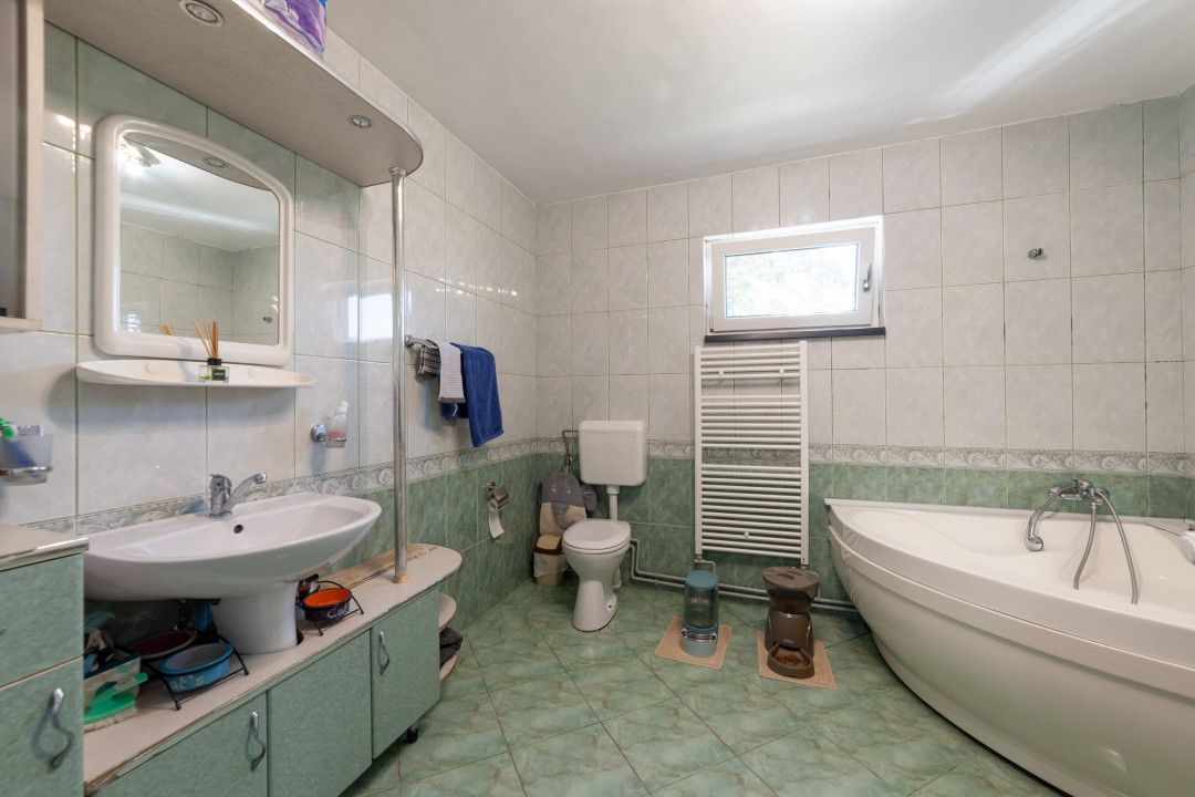Casa visurilor cu 4000 mp livada roditoare si gradina Darmanesti-Arges — fotografia 21