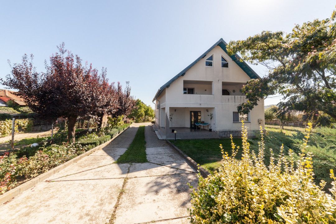 Casa visurilor cu 4000 mp livada roditoare si gradina Darmanesti-Arges — fotografia 24