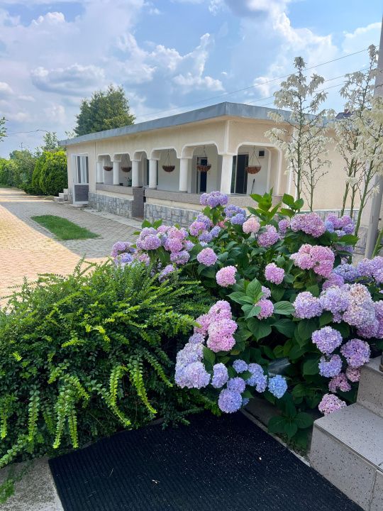 Casa visurilor cu 4000 mp livada roditoare si gradina Darmanesti-Arges — fotografia 27