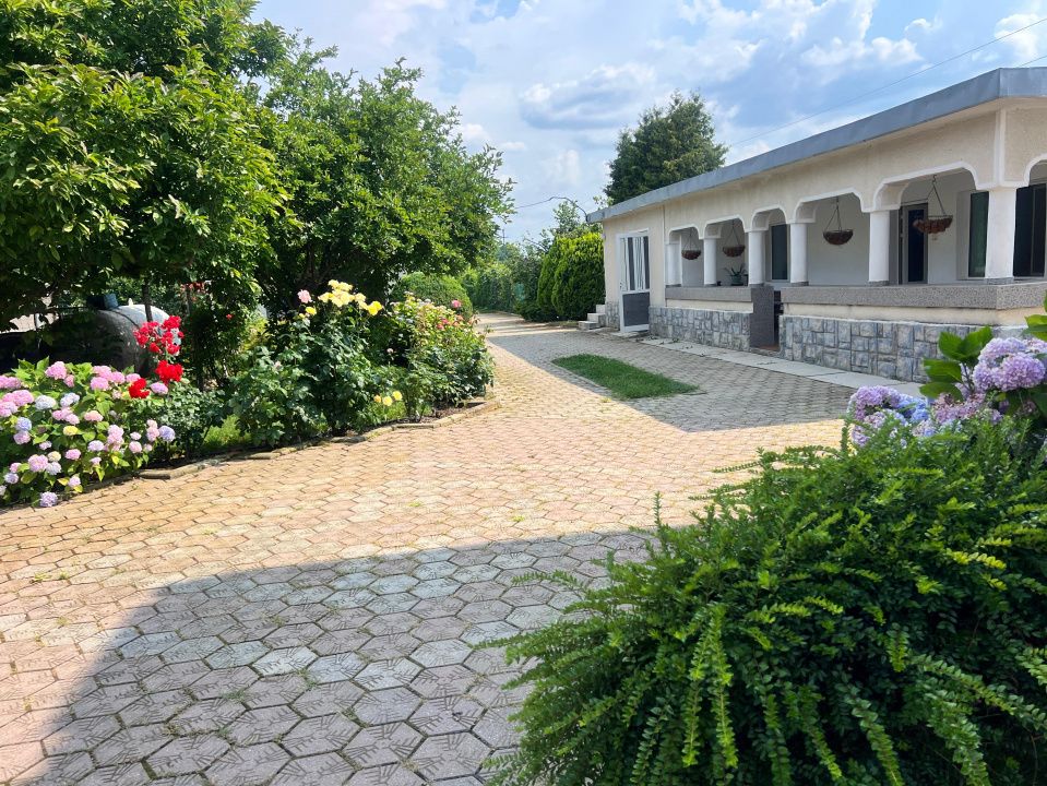 Casa visurilor cu 4000 mp livada roditoare si gradina Darmanesti-Arges — fotografia 29