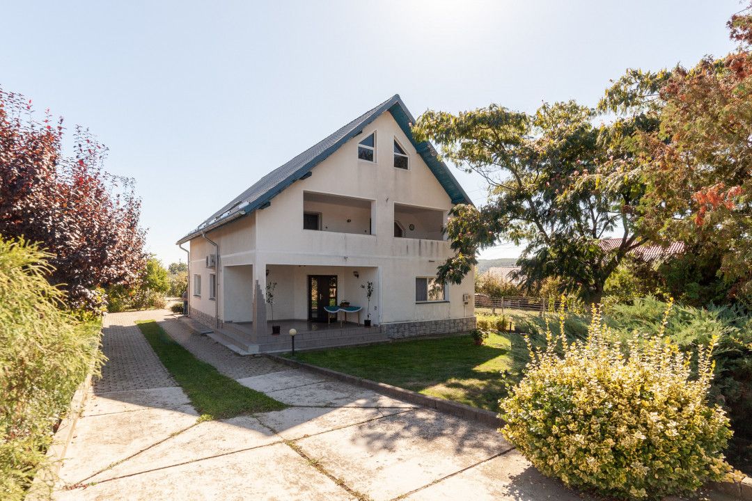 Casa visurilor cu 4000 mp livada roditoare si gradina Darmanesti-Arges — fotografia 4