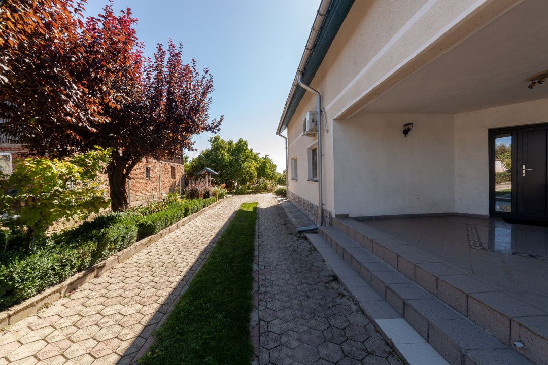 Casa visurilor cu 4000 mp livada roditoare si gradina Darmanesti-Arges — fotografia 5