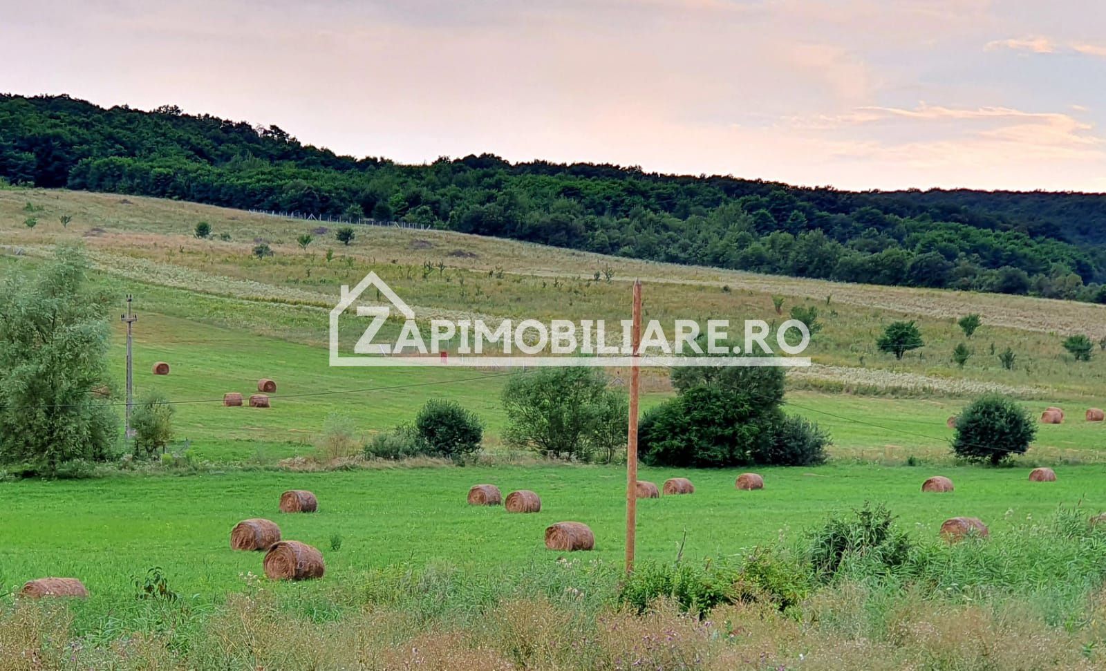 Teren intravilan 50 ari,Livezeni,iesire catre Ivanesti,28 eu/mp