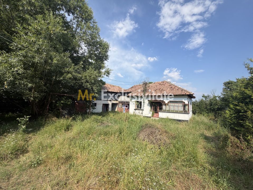 Casă bătrânească + teren 1.032 mp, Purcăreni, Argeș — fotografia 4