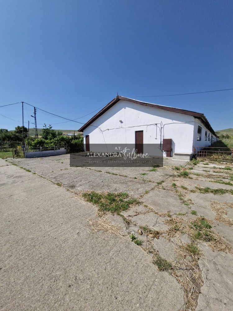 Ferma/ Hala industriala de vanzare, Bogata, Cluj — fotografia 3