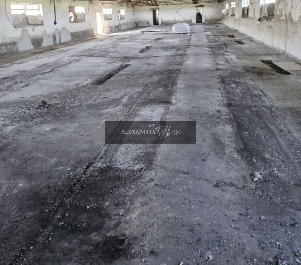 Ferma/ Hala industriala de vanzare, Bogata, Cluj — fotografia 6