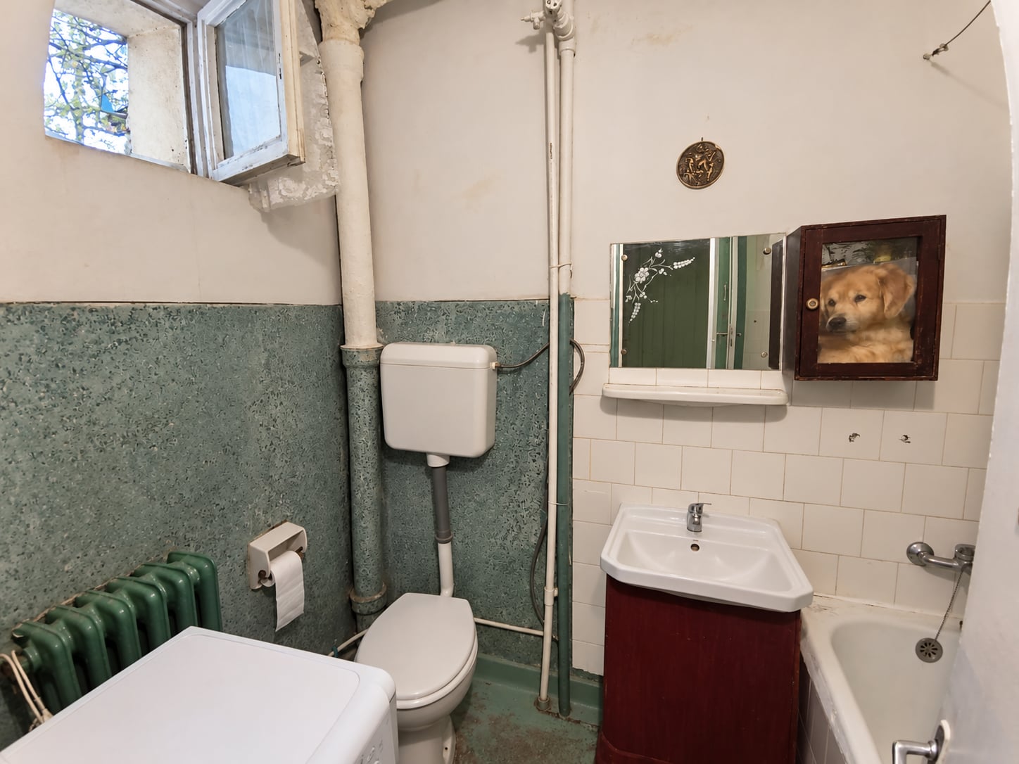 Apartament 2 camere de vânzare în Burdujeni — fotografia 5