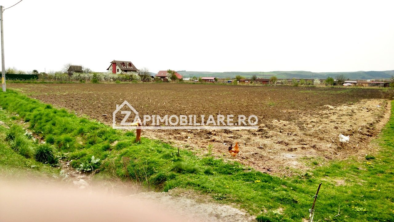 Teren 5800 mp,150m de Aeroport deschidere 58m la E60,20 euro — fotografia 6