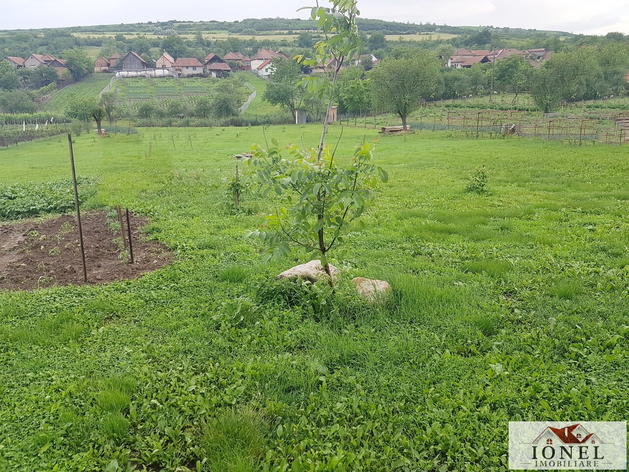 Teren intravilan de vanzare in Henig