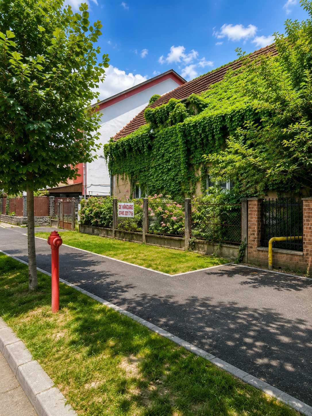 Proprietate de investiție, zona zero Satu Mare – teren 744 m2, front 19 m — fotografia 3