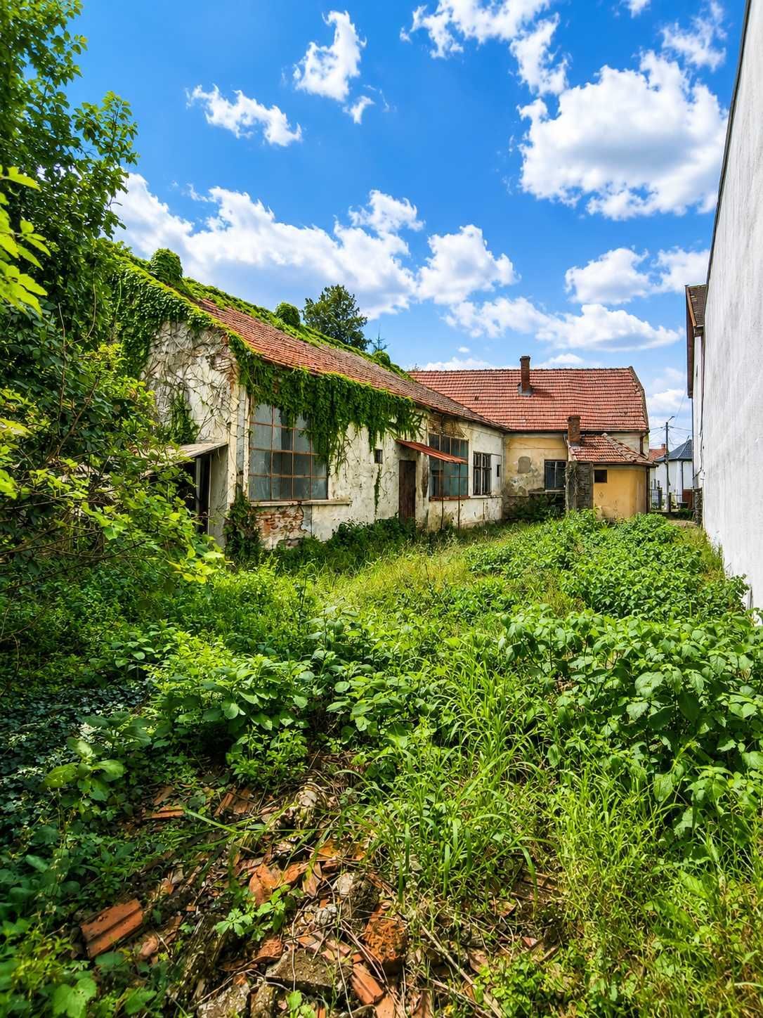 Proprietate de investiție, zona zero Satu Mare – teren 744 m2, front 19 m — fotografia 4