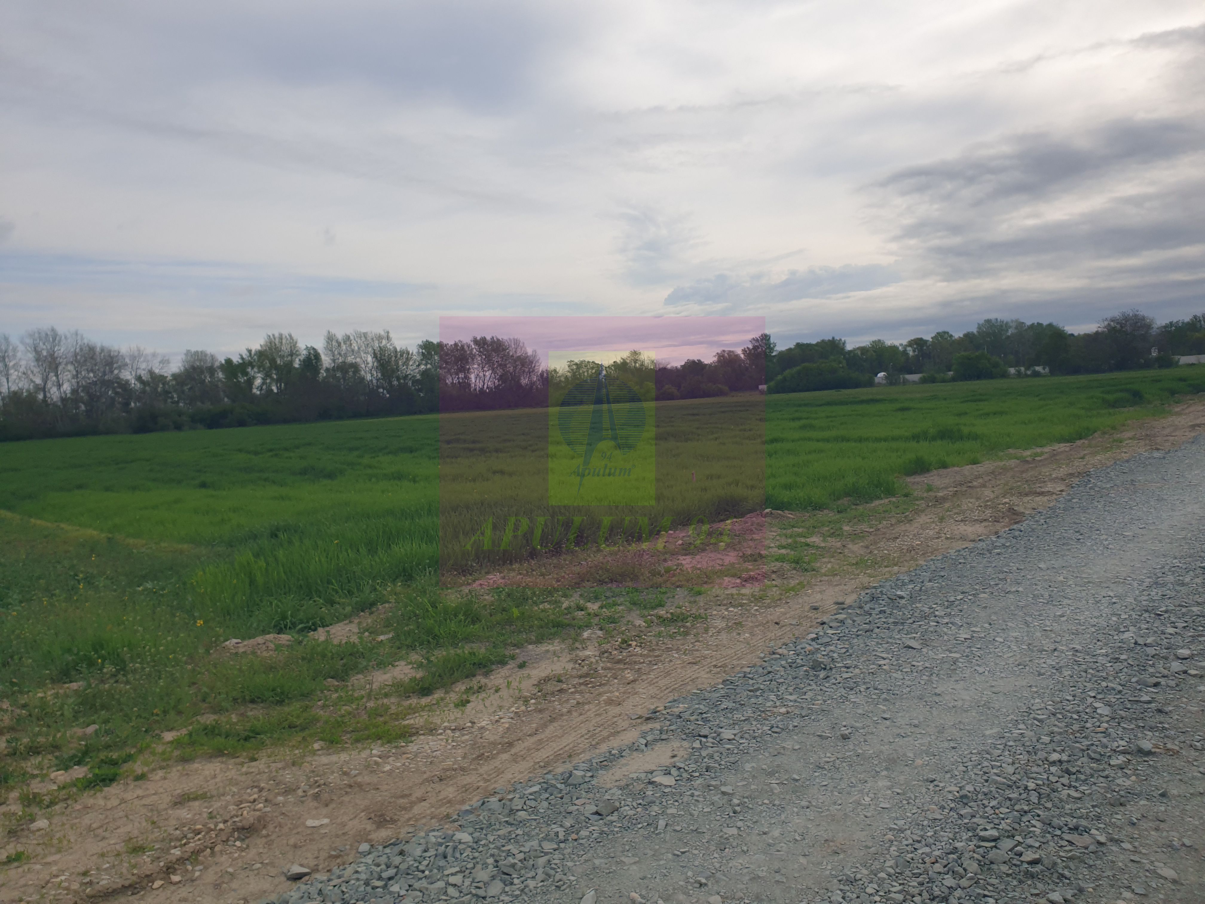 Teren ideal dezvoltare imobiliară în Măgurele strada Atmosferei — fotografia 6