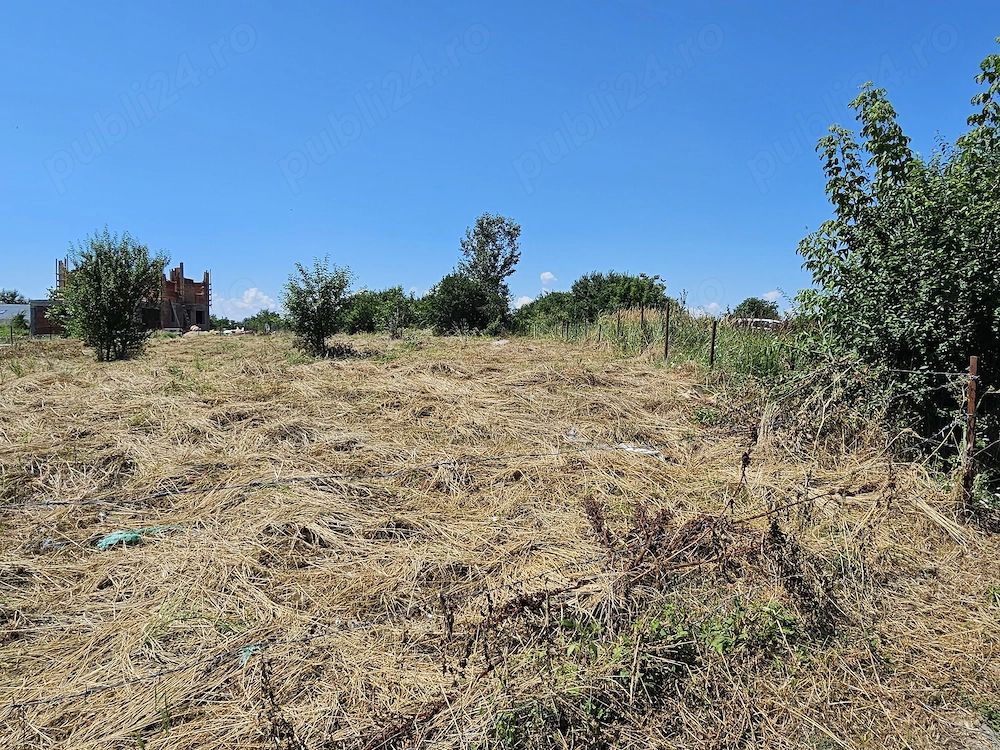 Teren Intravilan 5.000 mp București, Sector 6 (Giulești-Sârbi) — fotografia 3