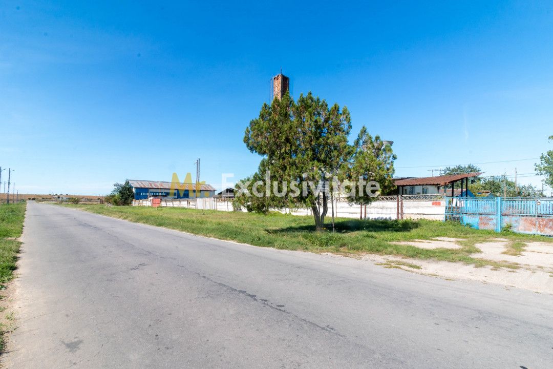 Hala industrial-comerciala — fotografia 13