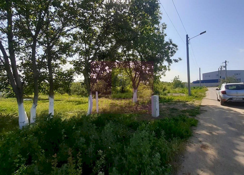 Teren cu utilități pentru dezvoltare proiect — fotografia 2