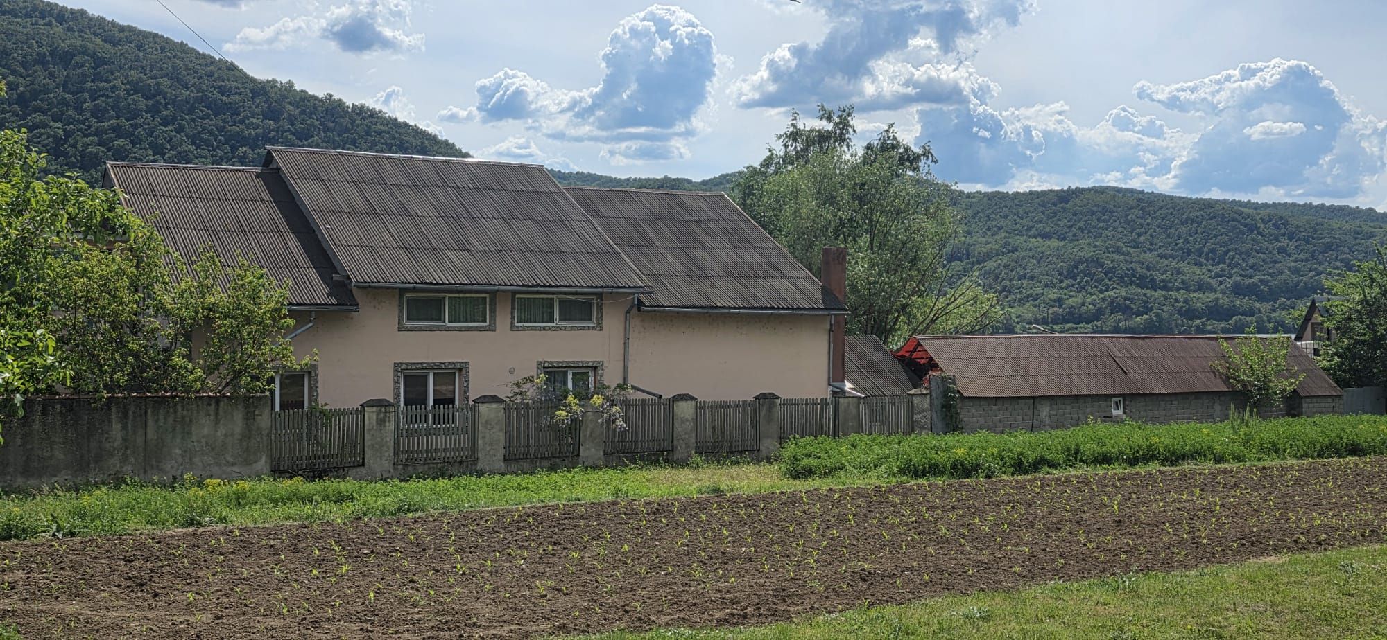 Pensiune cu acces direct la Dunare si teren de peste 6.000 mp, Berzasca — fotografia 14