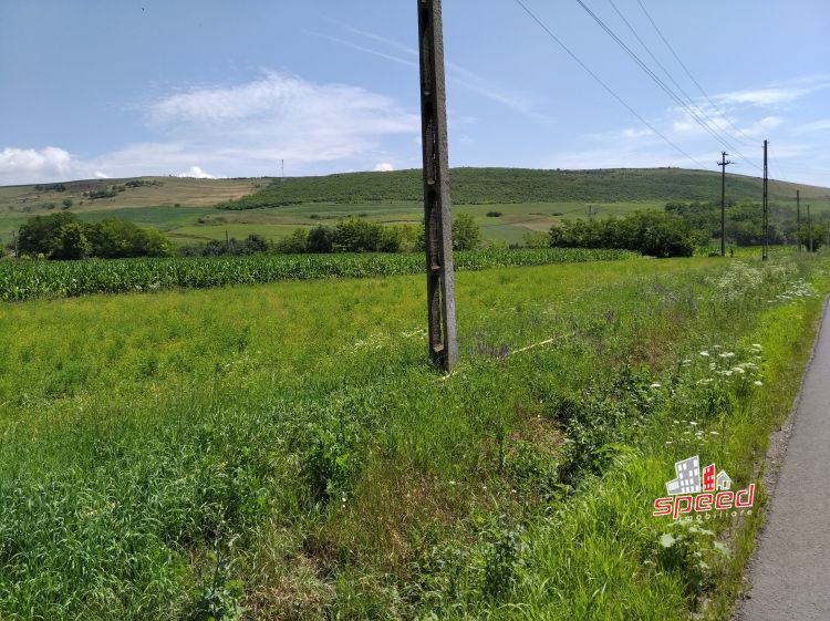 De vânzare teren în Mures - Mărăsesti