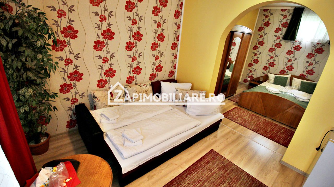 Pensiune aproape de centru,10 camere,13 băi,1 restaurant — fotografia 13