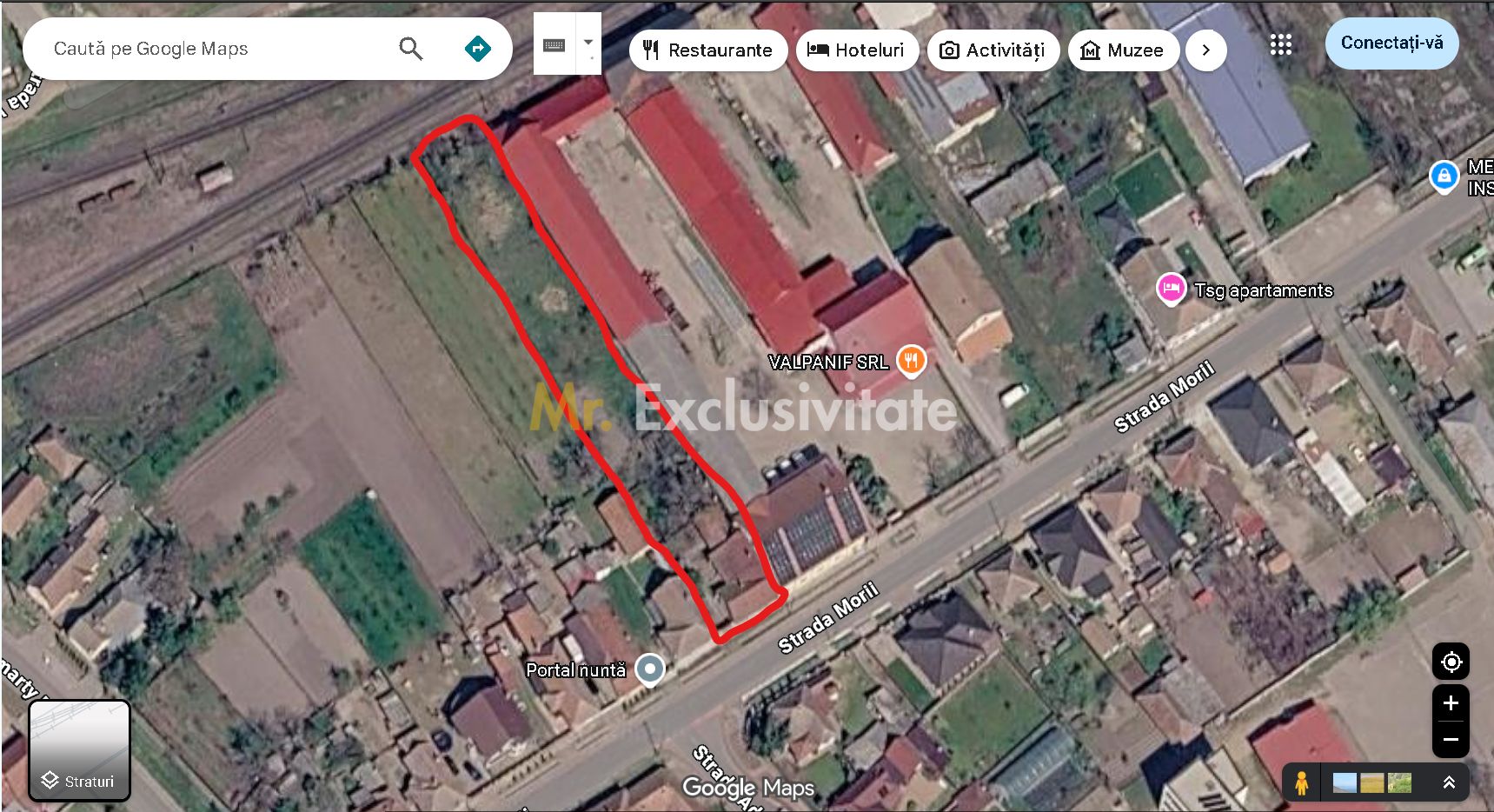 Casă de vânzare cu teren generos în Valea lui Mihai — fotografia 10