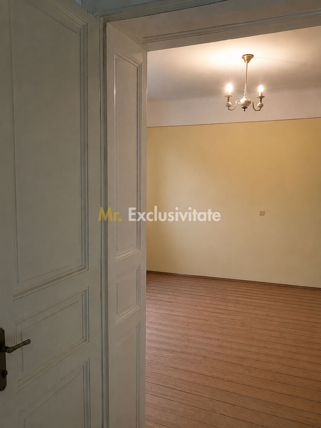 Casă de vânzare cu teren generos în Valea lui Mihai — fotografia 7
