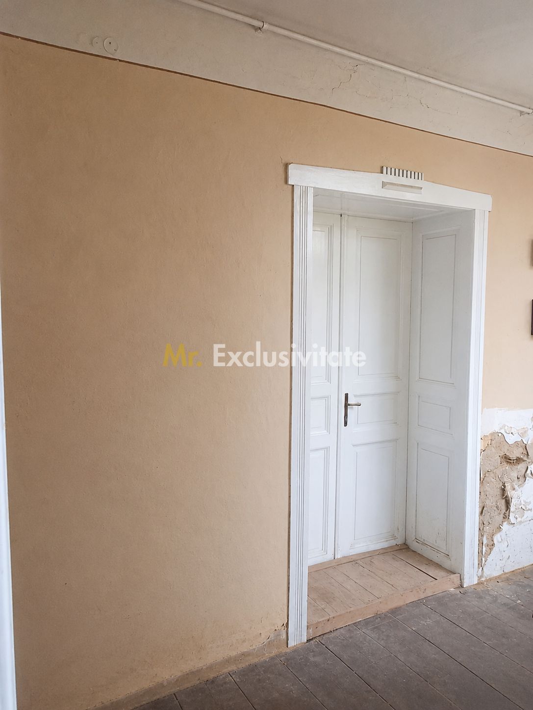 Casă de vânzare cu teren generos în Valea lui Mihai — fotografia 8