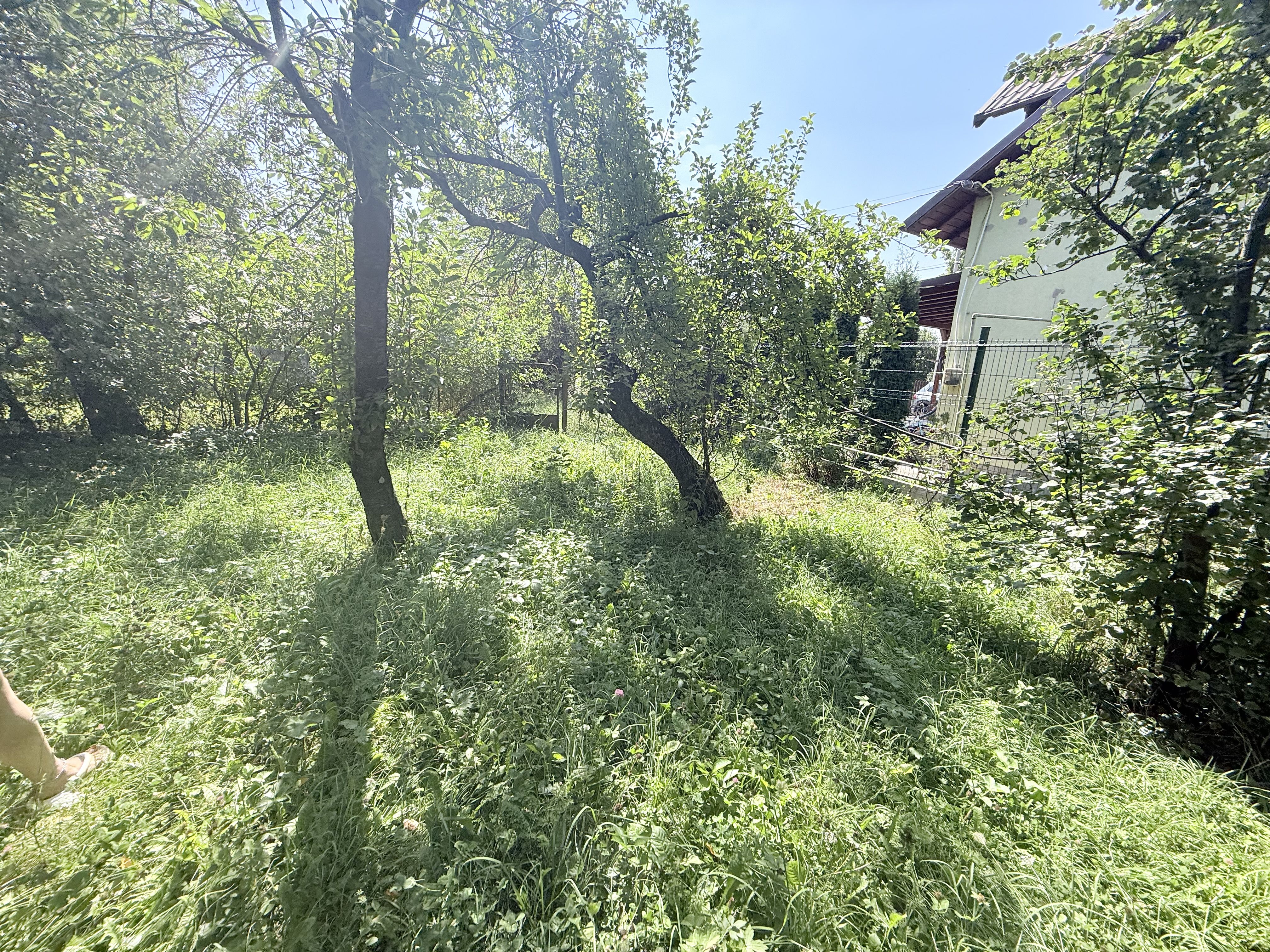 Casa interbelică cu arhitectură deosebită+Anexa și teren 1570 mp — fotografia 23
