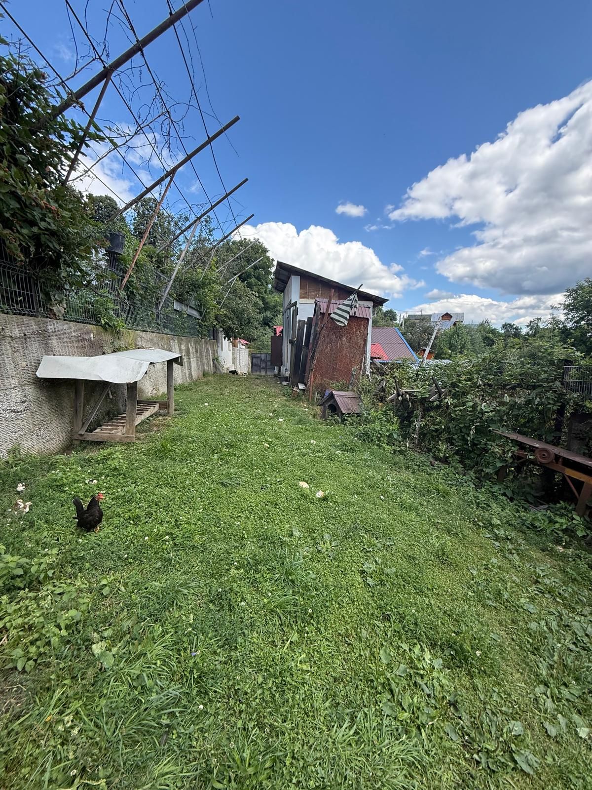 Vila S+P+1,+ garaj inchis + terasa si teren intravilan 6300 mp — fotografia 52