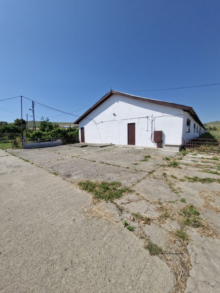 Teren 43884 mp intravilan, 4 hale 6000 mp, nod autostrada, Bogata — fotografia 3