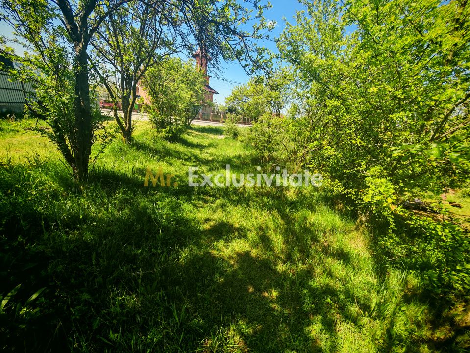 Teren intravilan 2.000 mp in Mioveni – Ideal pentru casa sau investitie! — fotografia 2