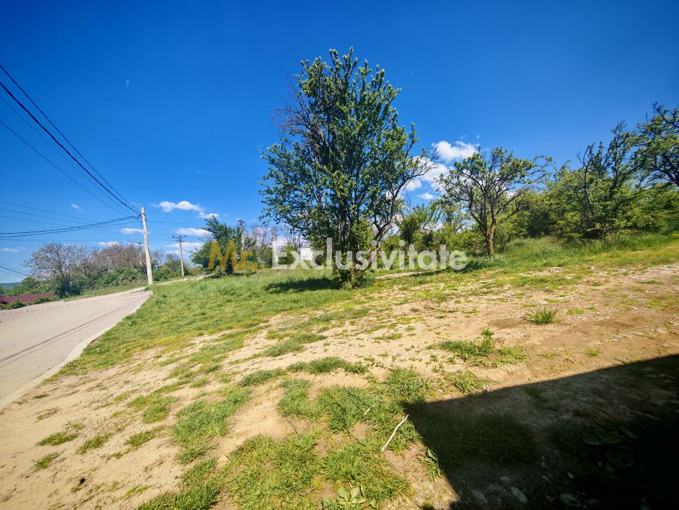 Teren intravilan 2.000 mp in Mioveni – Ideal pentru casa sau investitie! — fotografia 3