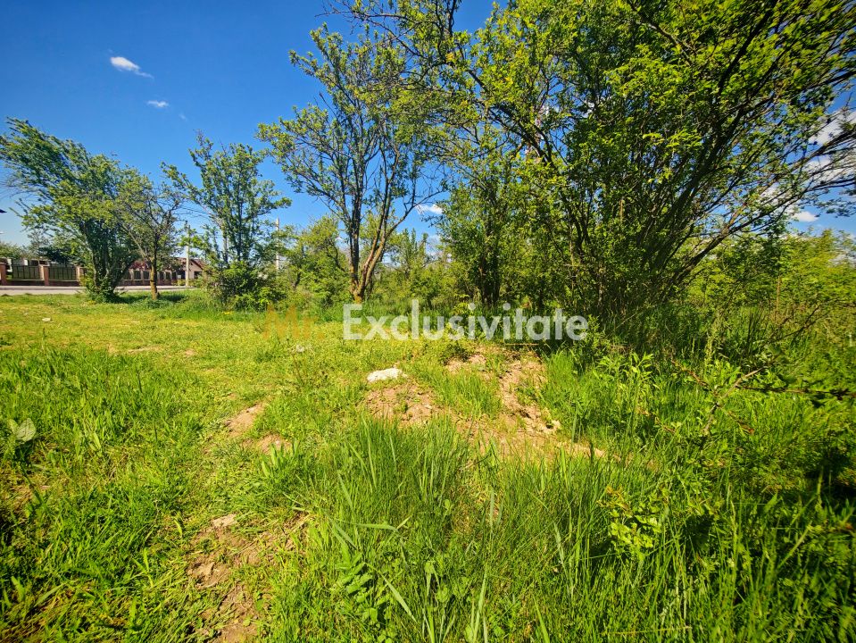 Teren intravilan 2.000 mp in Mioveni – Ideal pentru casa sau investitie! — fotografia 4