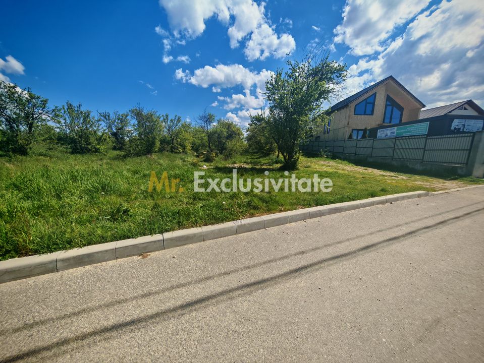 Teren intravilan 2.000 mp in Mioveni – Ideal pentru casa sau investitie! — fotografia 5