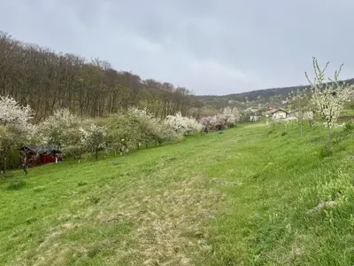 Teren intravilan Deva- Roci