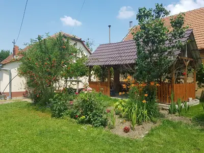 Casă cu 4 camere și teren generos de 2.370 mp – Deta, Strada 1 Mai