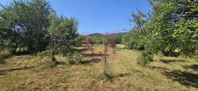 Teren intravilan de vanzare 3375 mp in Brebu