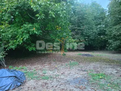 Teren intravilan 1384 mp, Fagetu- Gura Vitioarei