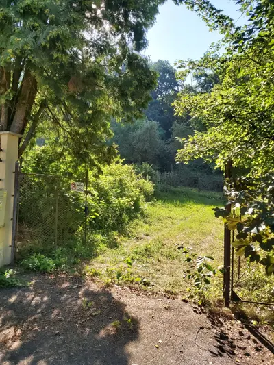 Vand teren i.v. cu toate utilitatile pe Platoul Cornesti, S = 5124 m2
