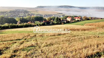 Teren 25.000 mp. Comuna Voiniceni ,12 euro mp.comision ZERO
