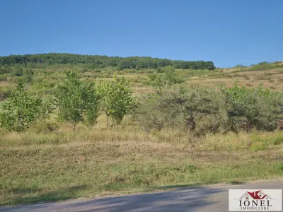 Teren intravilan 2500 mp de vanzare in Ciugud - Teleac