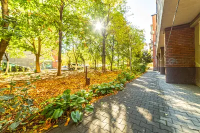 PRET NOU! Apartament 3 camere - etaj 1 - Polivalenta - COMISION 0