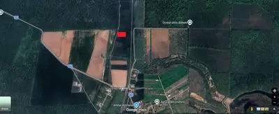Oportunitate de investitie | Teren intravilan langa padurea Scrovistea